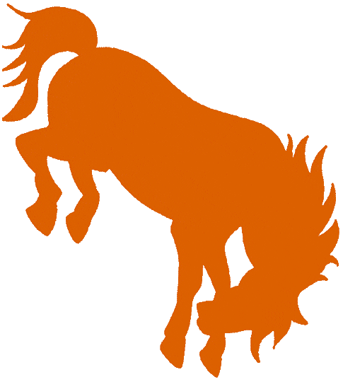 Texas-Pan American Broncs 1984-2009 Primary Logo diy iron on heat transfer
